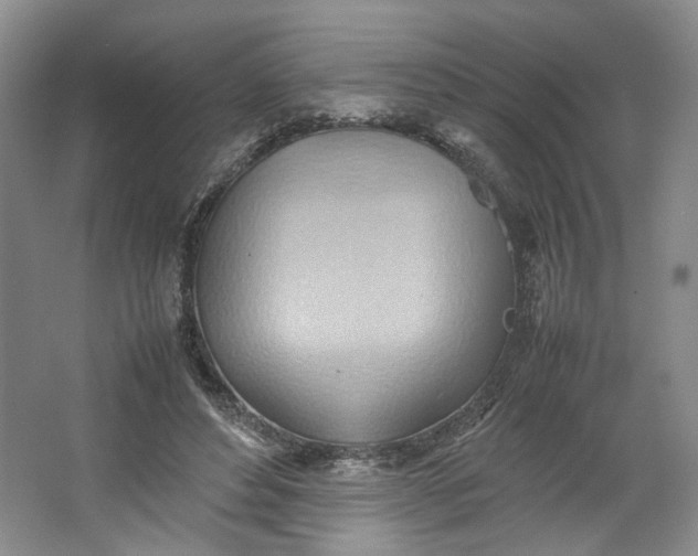 X0000064040496200602101428