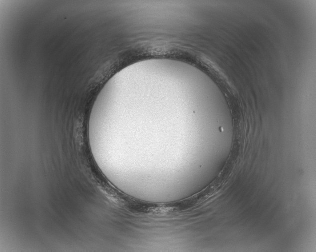 X0000064040497200602101428