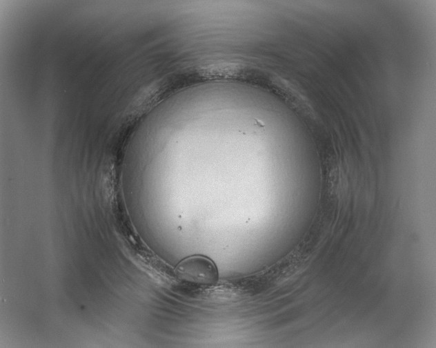 X0000064040498200602101428