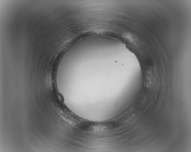 X0000064040500200602101428