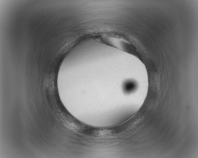 X0000064040501200602101428