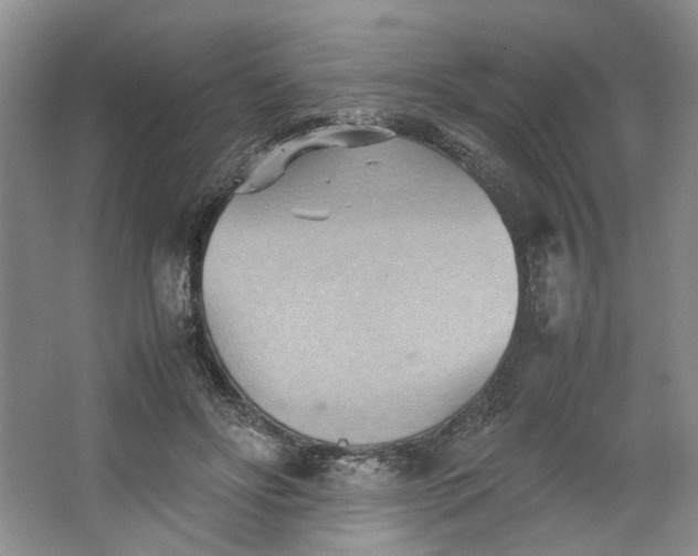 X0000064040502200602101428