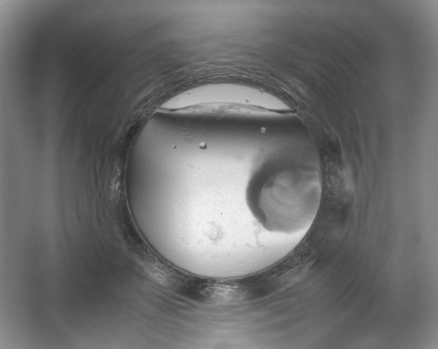 X0000064040507200602101428