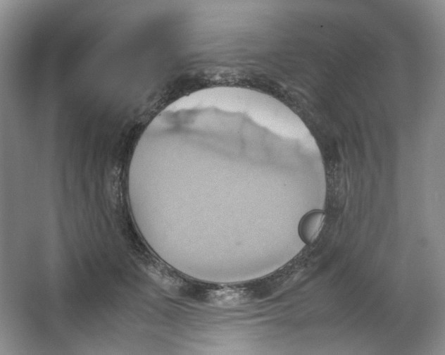 X0000064040511200602101428