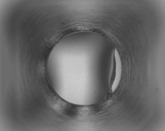 X0000064040513200602101428