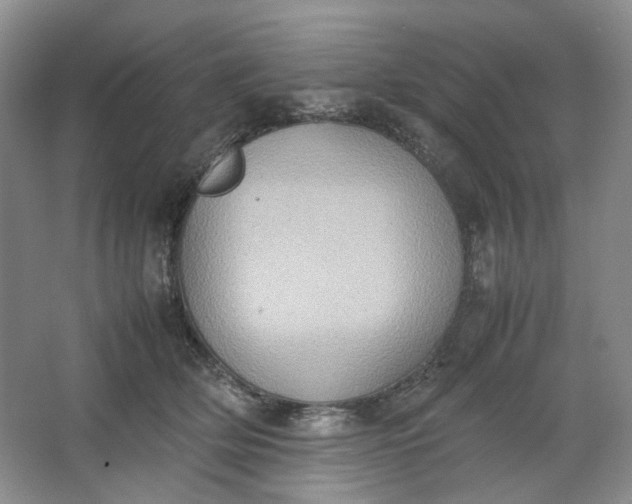 X0000064040514200602101428