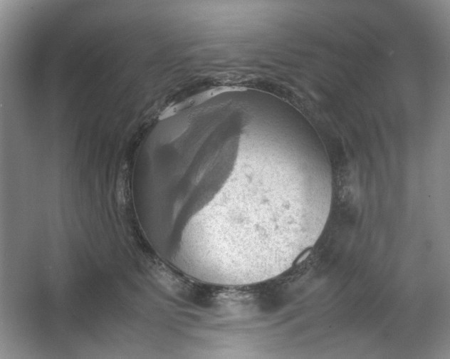 X0000064040515200602101428