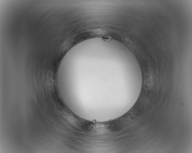 X0000064040518200602101428