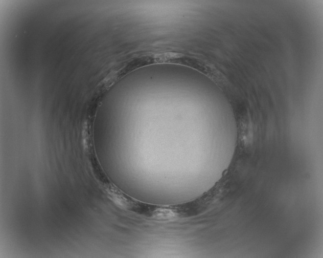 X0000064040519200602101428