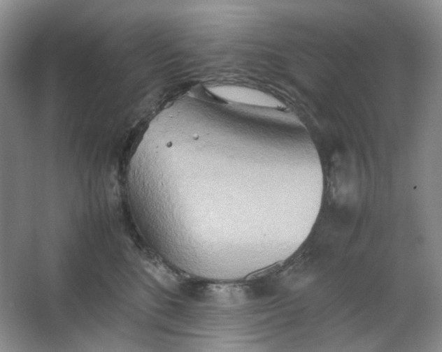 X0000064040520200602101428