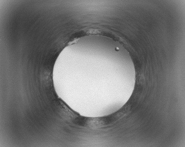 X0000064040521200602101428