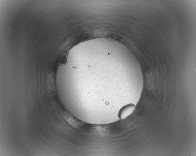 X0000064040522200602101428