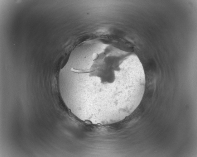 X0000064040523200602101428