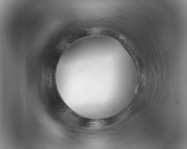 X0000064040525200602101428