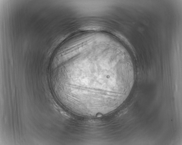 X0000064040529200602101427