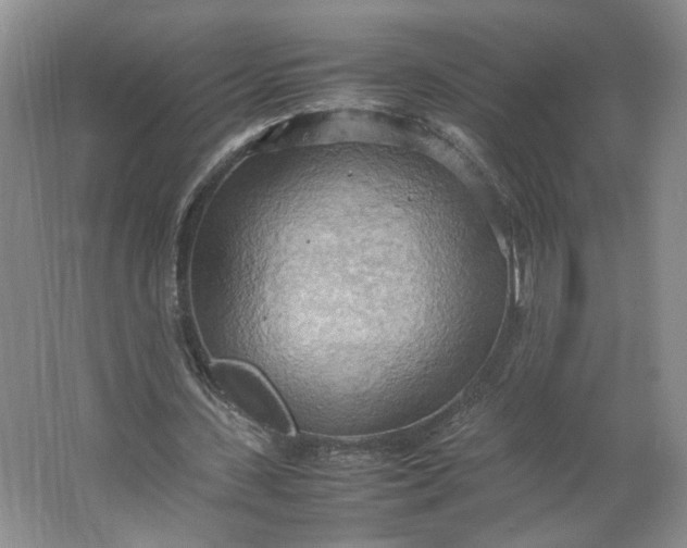 X0000064040531200602101427