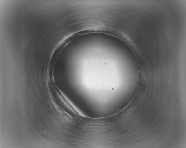 X0000064040532200602101427