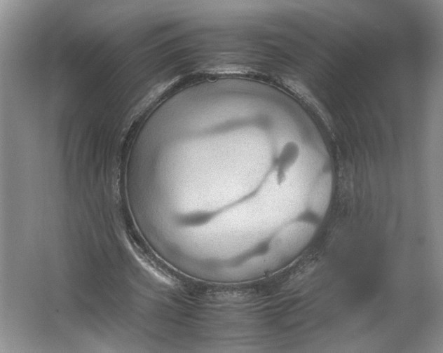 X0000064040533200602101427