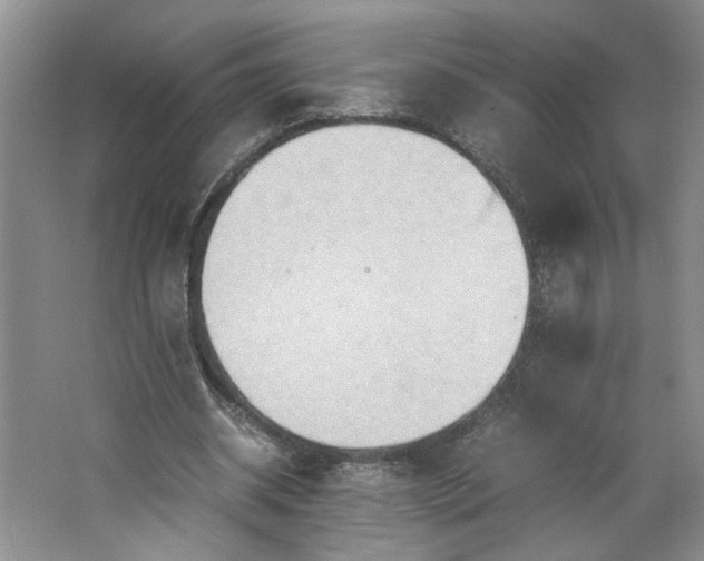 X0000064040534200602101427