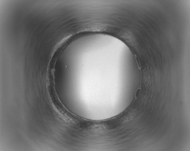 X0000064040536200602101427