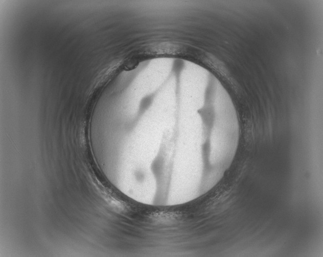 X0000064040537200602101427