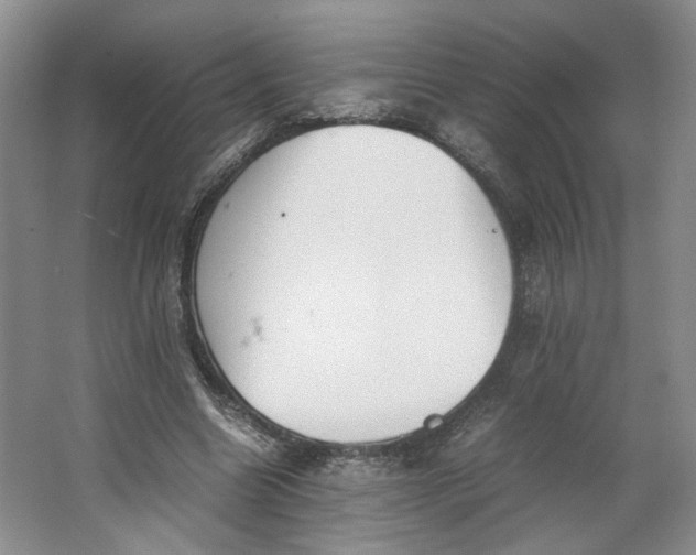 X0000064040538200602101427