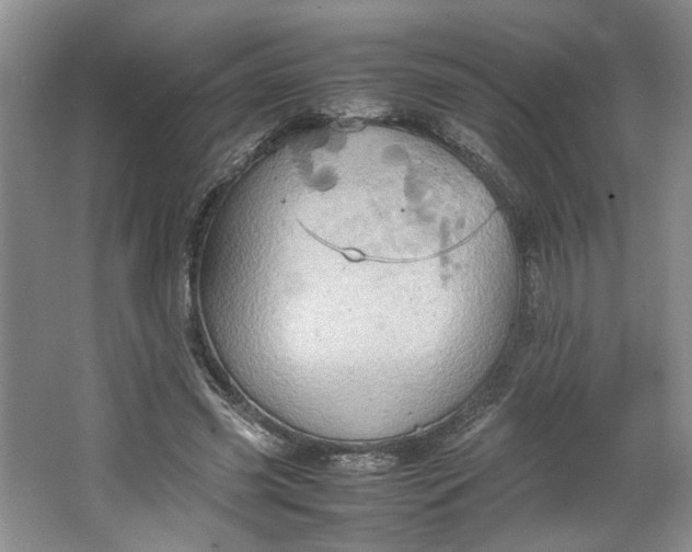 X0000064040541200602101427