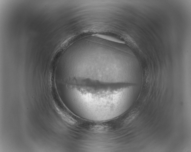 X0000064040542200602101427