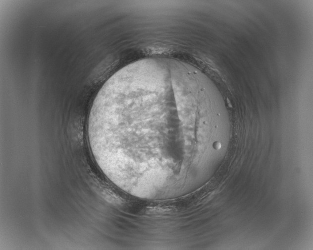 X0000064040545200602101427