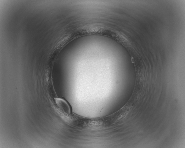 X0000064040546200602101427