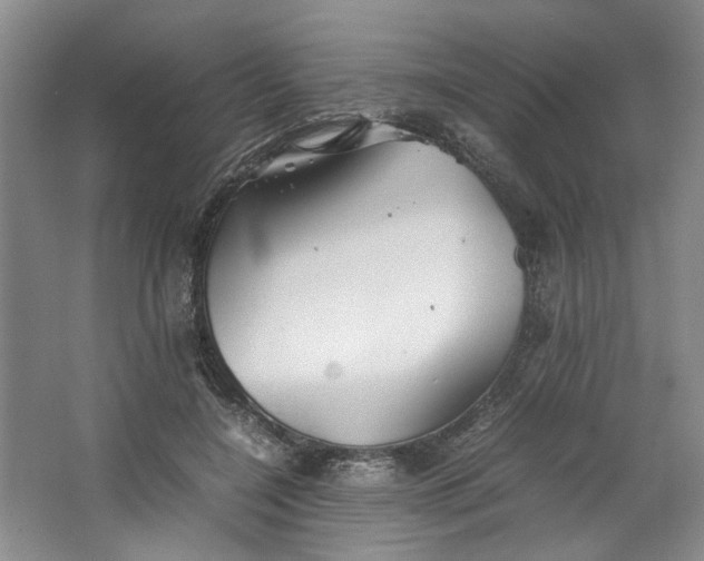 X0000064040548200602101427