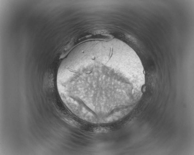 X0000064040549200602101427