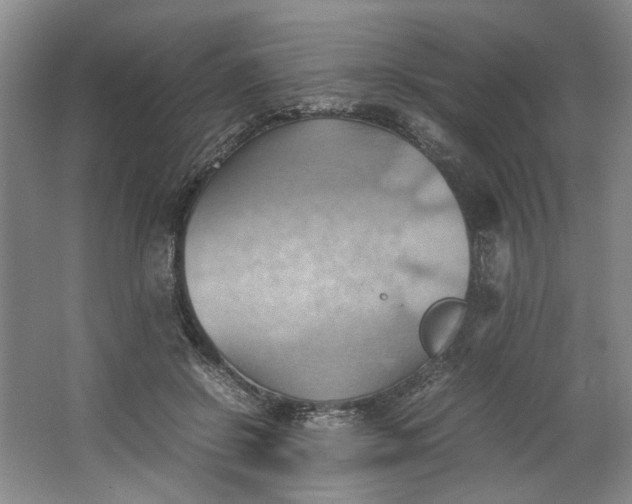 X0000064040550200602101427