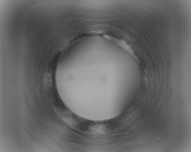 X0000064040551200602101427