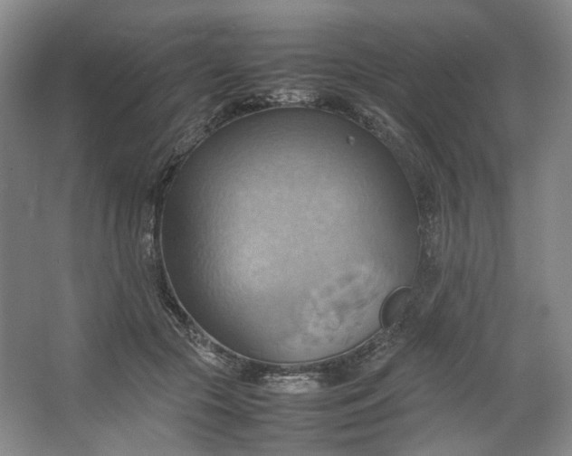 X0000064040553200602101427