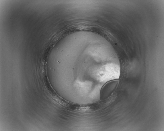 X0000064040554200602101427