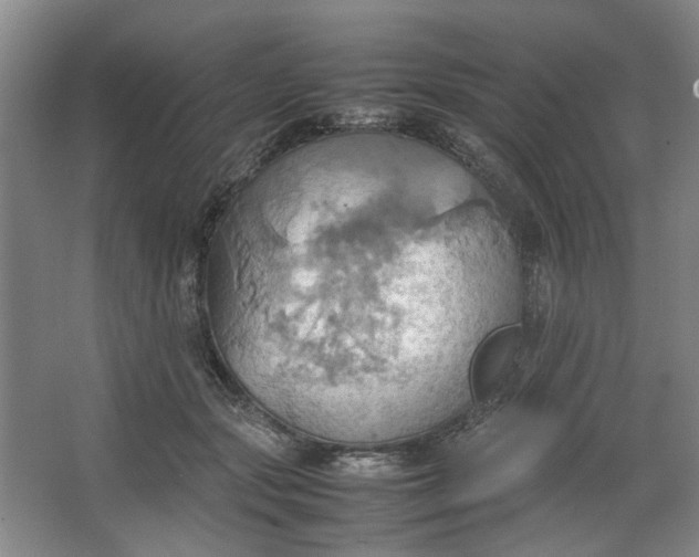 X0000064040557200602101427