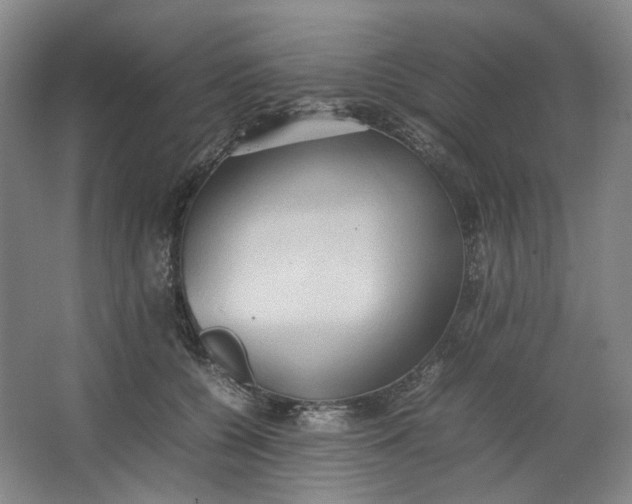 X0000064040560200602101427