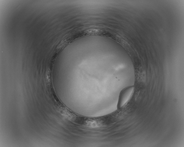 X0000064040561200602101427