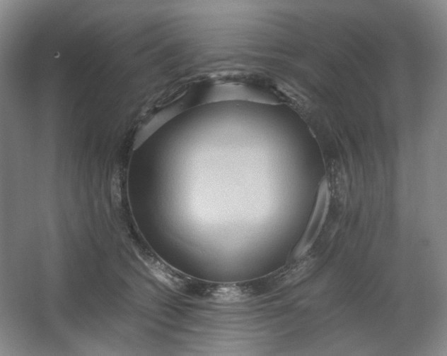 X0000064040562200602101427