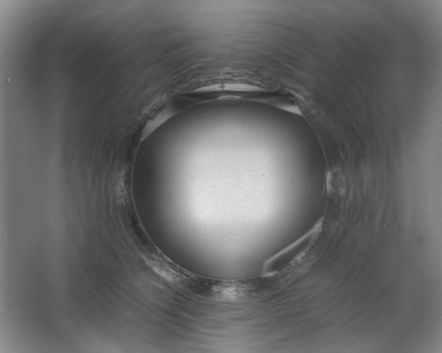 X0000064040564200602101427