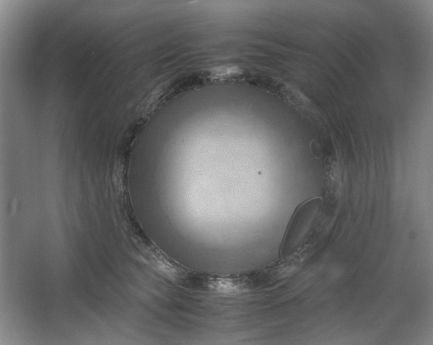 X0000064040565200602101427