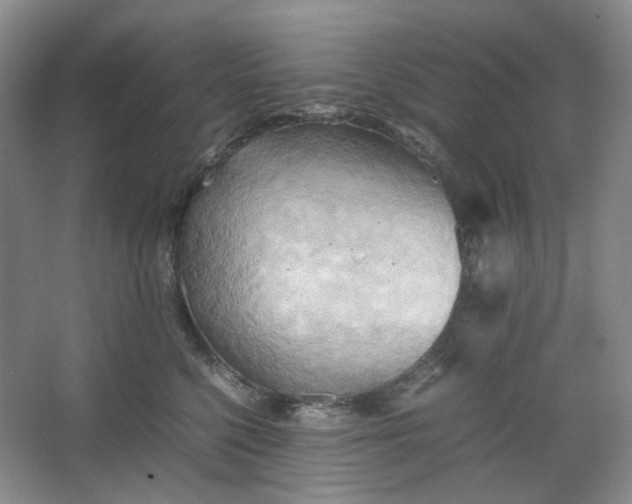 X0000064040568200602101427