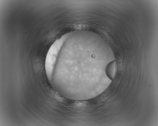 X0000064040569200602101428