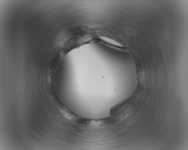 X0000064040570200602101428