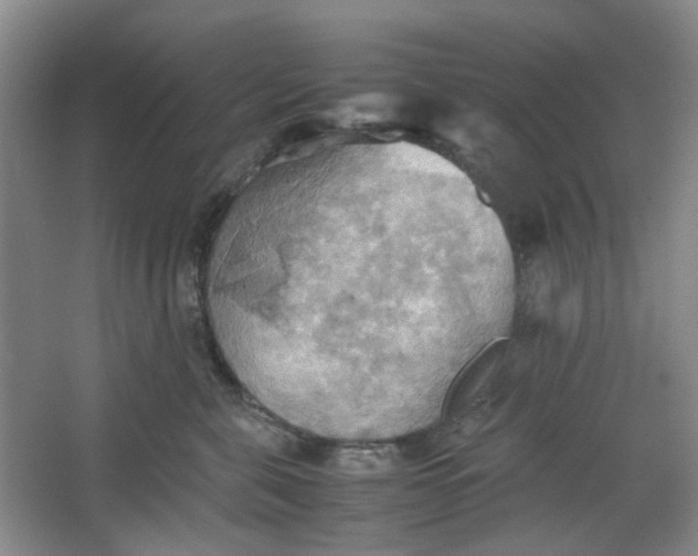 X0000064040571200602101428