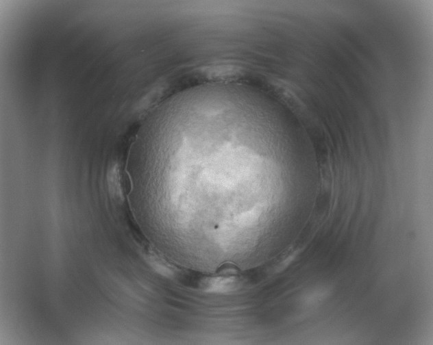 X0000064040575200602101428