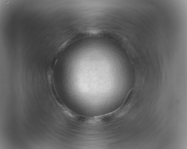 X0000064040576200602101428