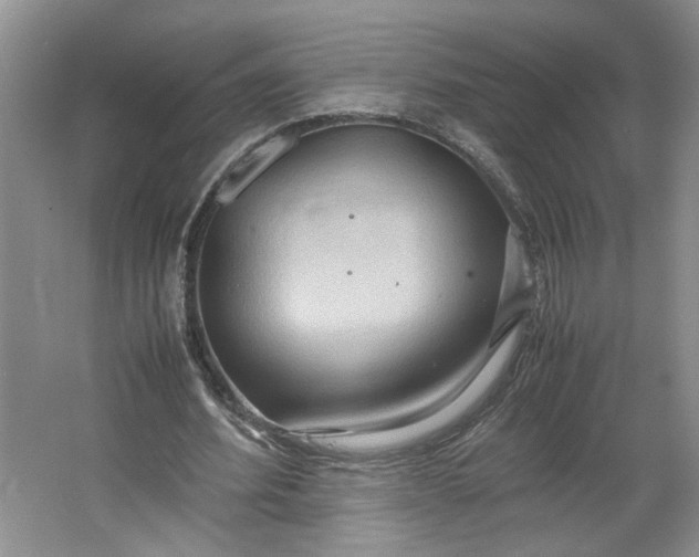 X0000064040580200602101427