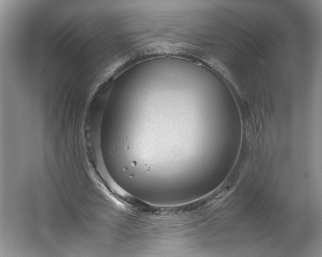 X0000064040581200602101427